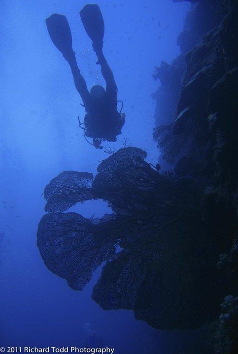 Missionary Home Mapang