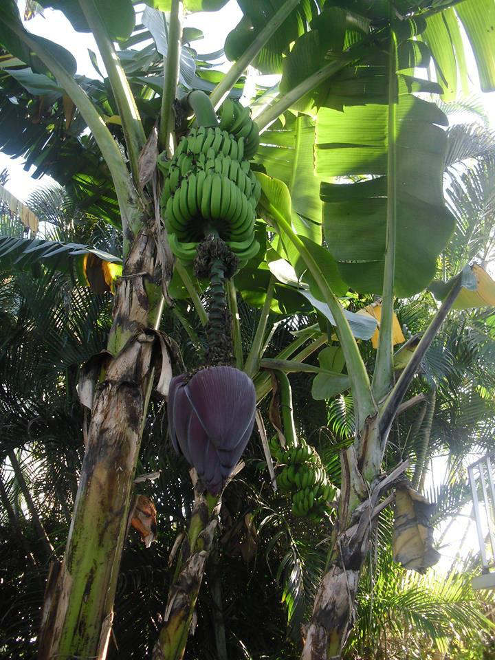 Jensen's Twin Palm Cottages and Marina