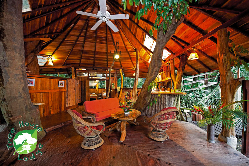 Tree House Beachfront Lodge