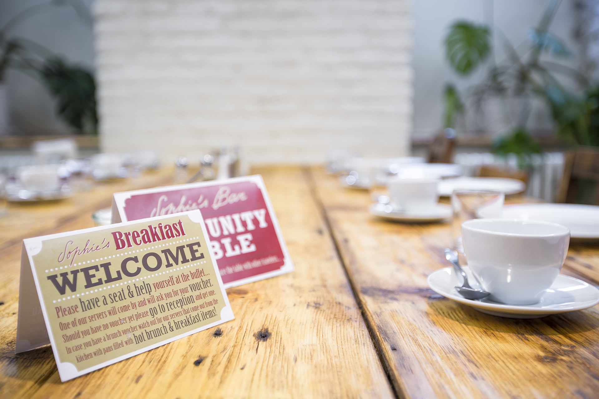 Miss Sophie's New Town