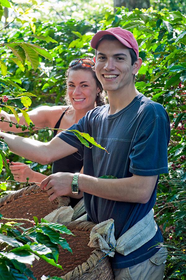 Finca Rosa Blanca Coffee Farm and Inn
