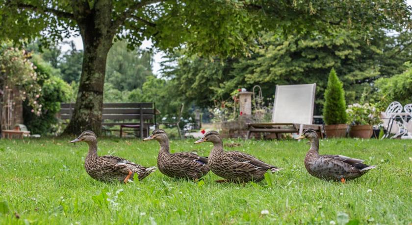 La Ferme de Marie-Eugenie
