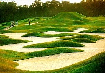 Hilton Beachfront Resort And Spa Hilton Head Island