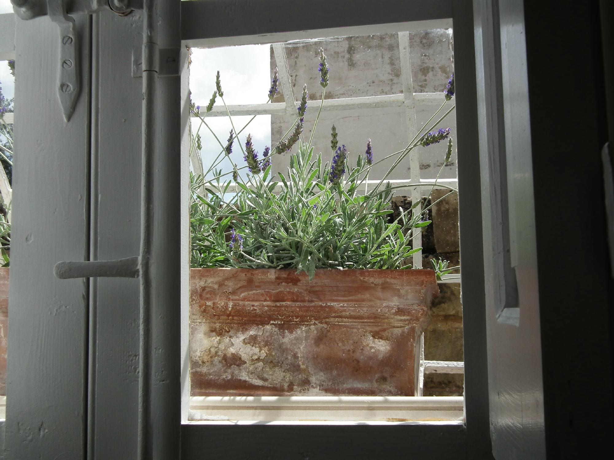 Loggia Mariposa - Boutique Townhouse