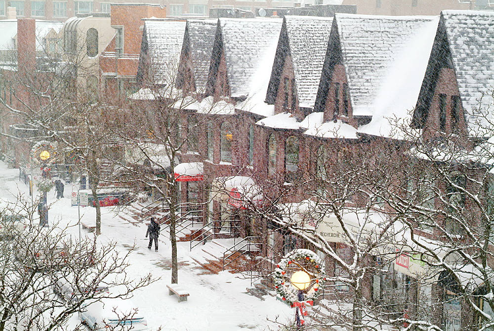 The Yorkville Royal Sonesta Hotel Toronto