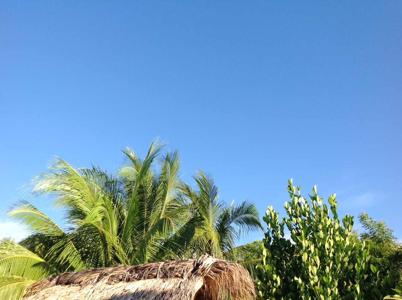 Villa Mozart y Macondo