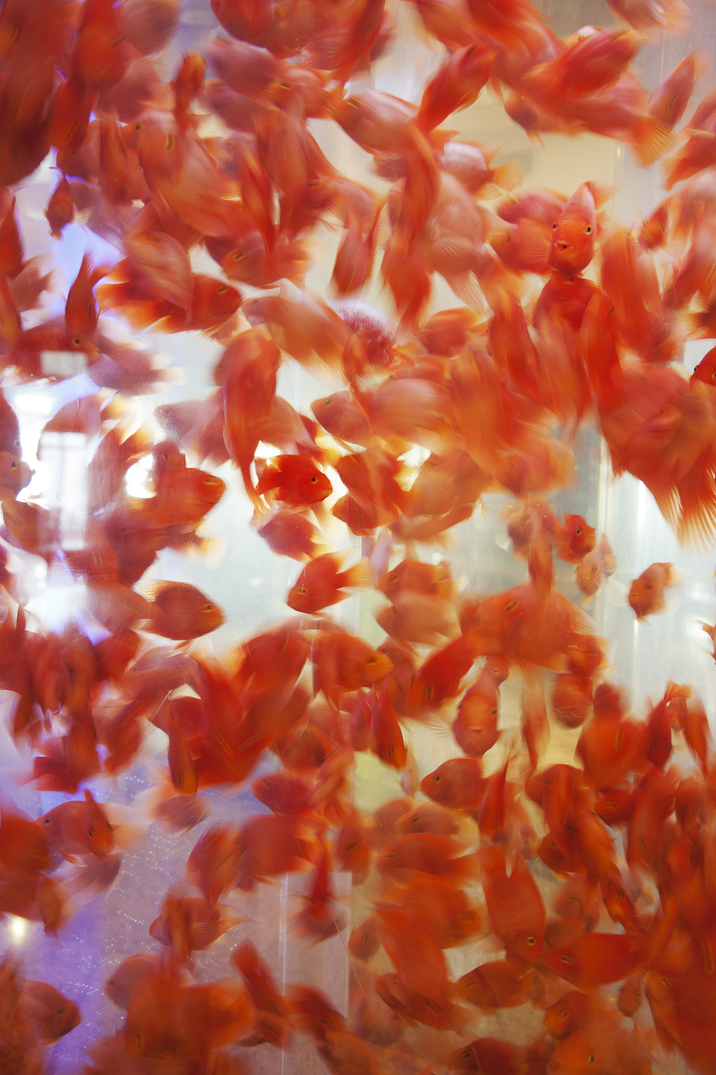 Le Royal Meridien Shanghai