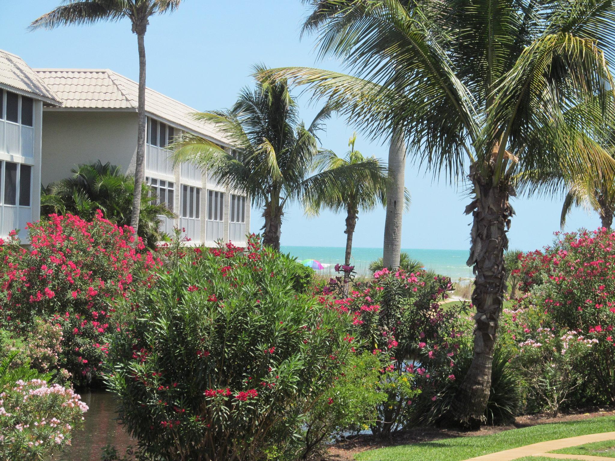 Sanibel Siesta on the Beach