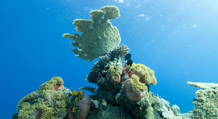 Park Hyatt Maldives Hadahaa