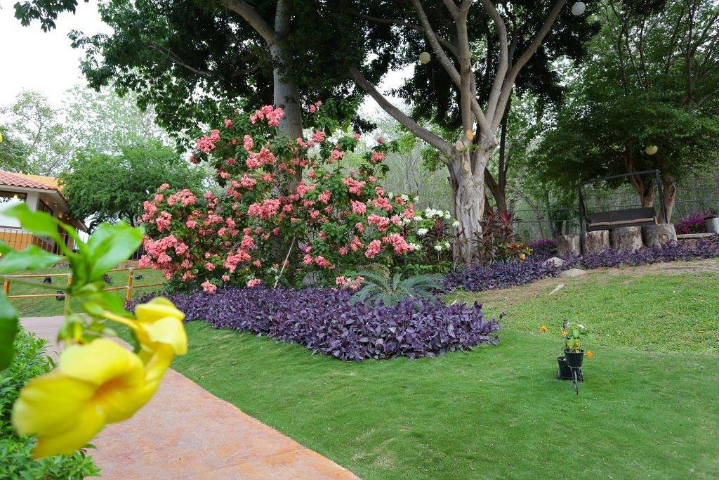 Binniguenda Huatulco