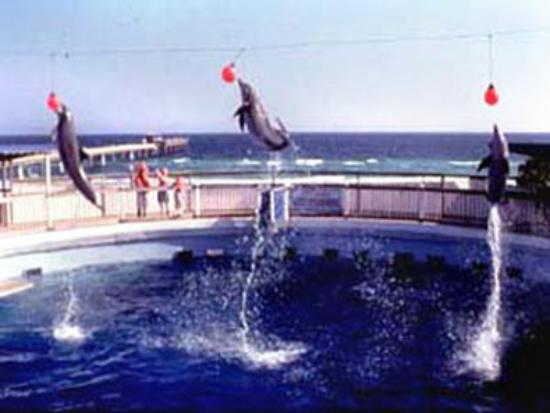 Beal House Fort Walton Beachfront, Tapestry Collection by Hilton