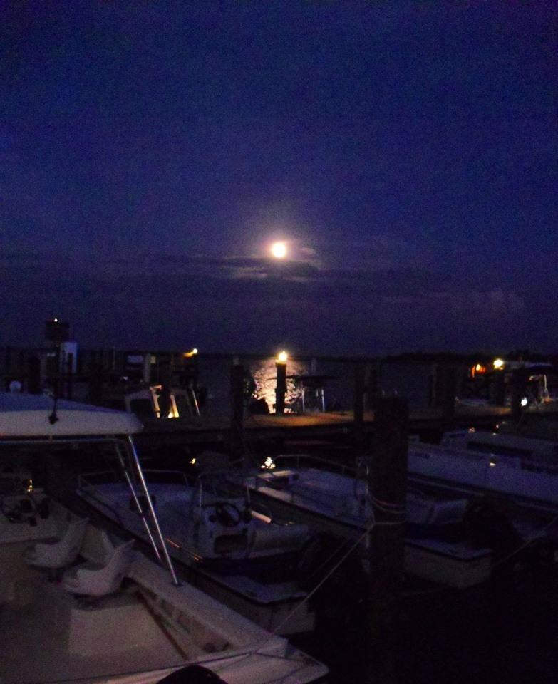 Jensen's Twin Palm Cottages and Marina