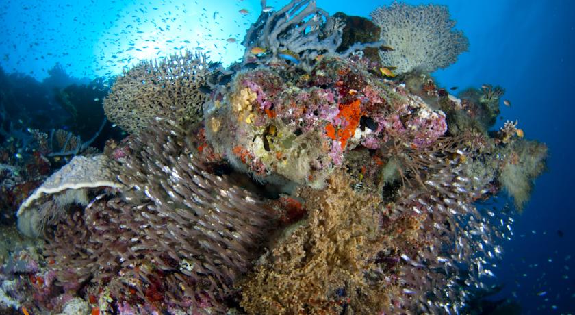 Park Hyatt Maldives Hadahaa