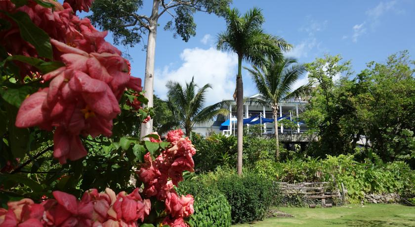 Hotel Mocking Bird Hill