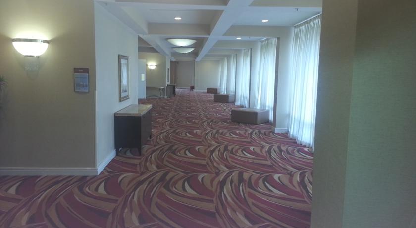 Southbank Hotel Jacksonville Riverwalk