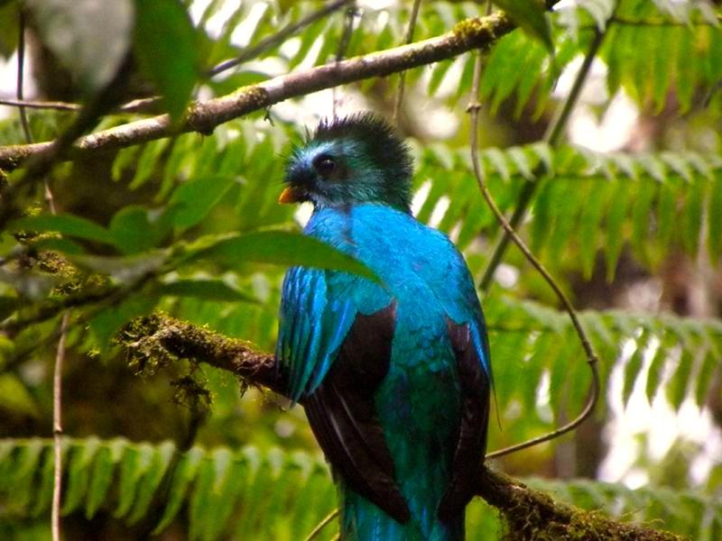 El Silencio Lodge & Spa