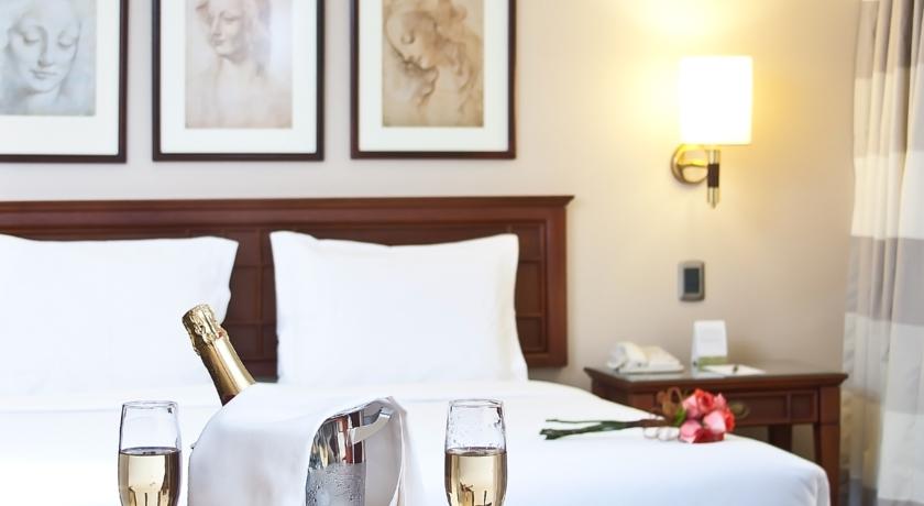 Hotel Plaza El Bosque Ebro