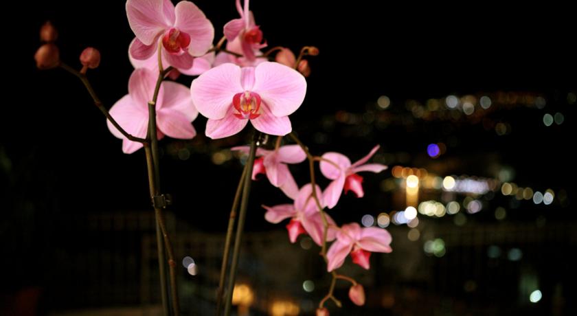 Hotel Botanico San Lazzaro