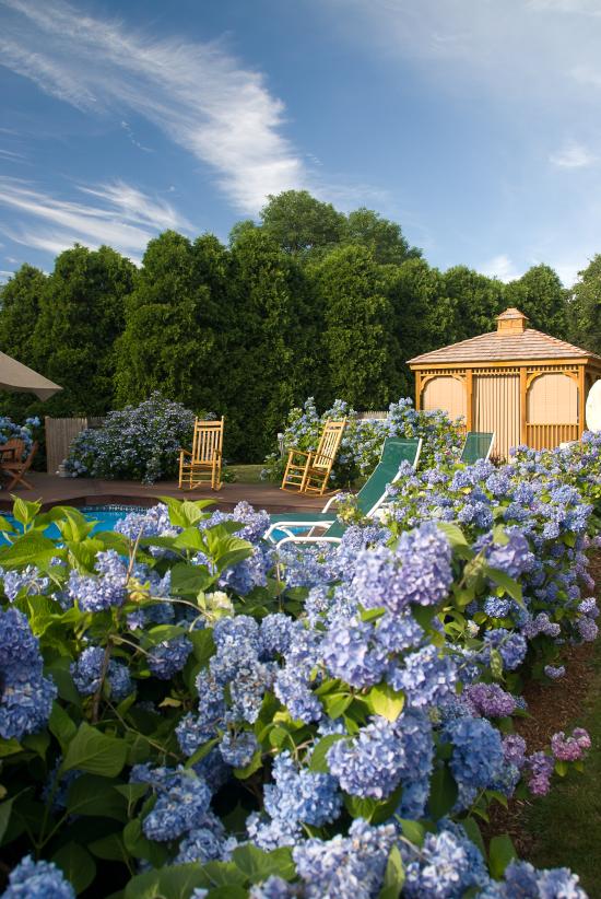 Brewster By The Sea Inn