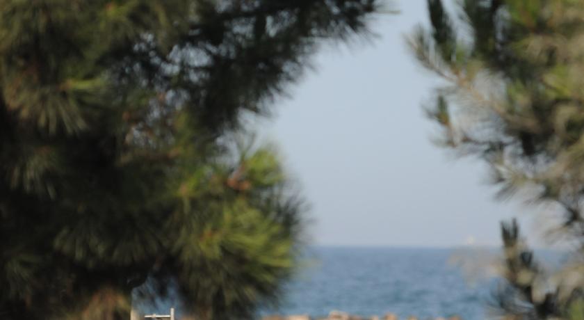 Adriano Family Collection