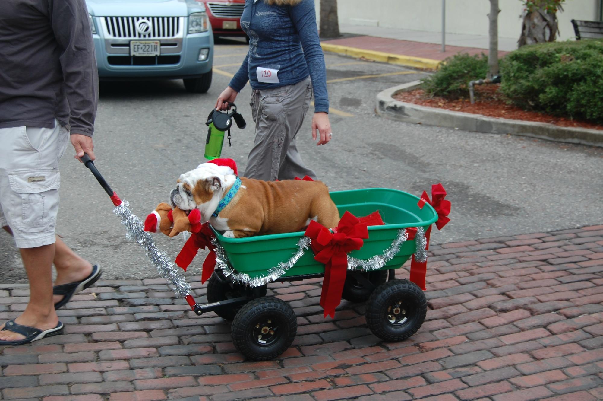 Amelia Island Williams House