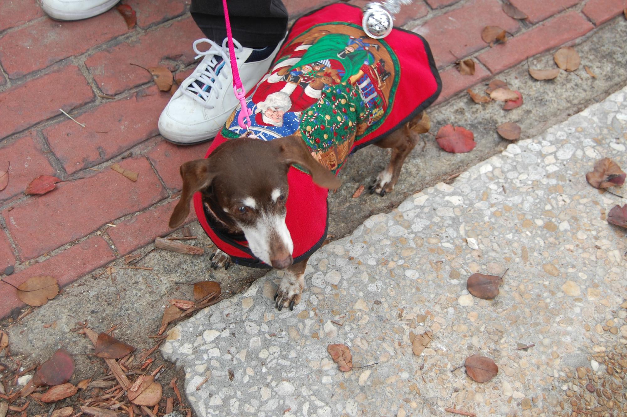 Amelia Island Williams House