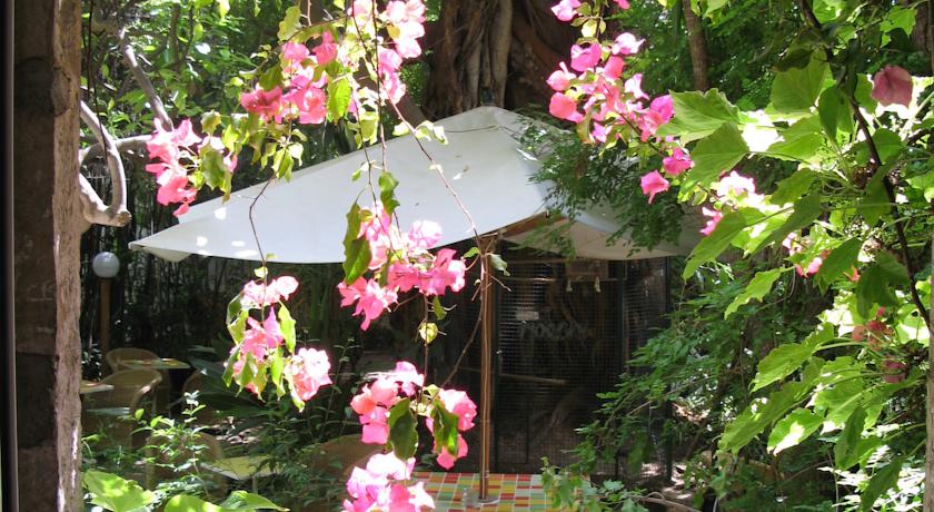 Le Windsor, Jungle Art Hotel