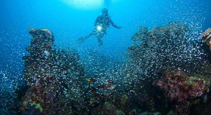 Park Hyatt Maldives Hadahaa