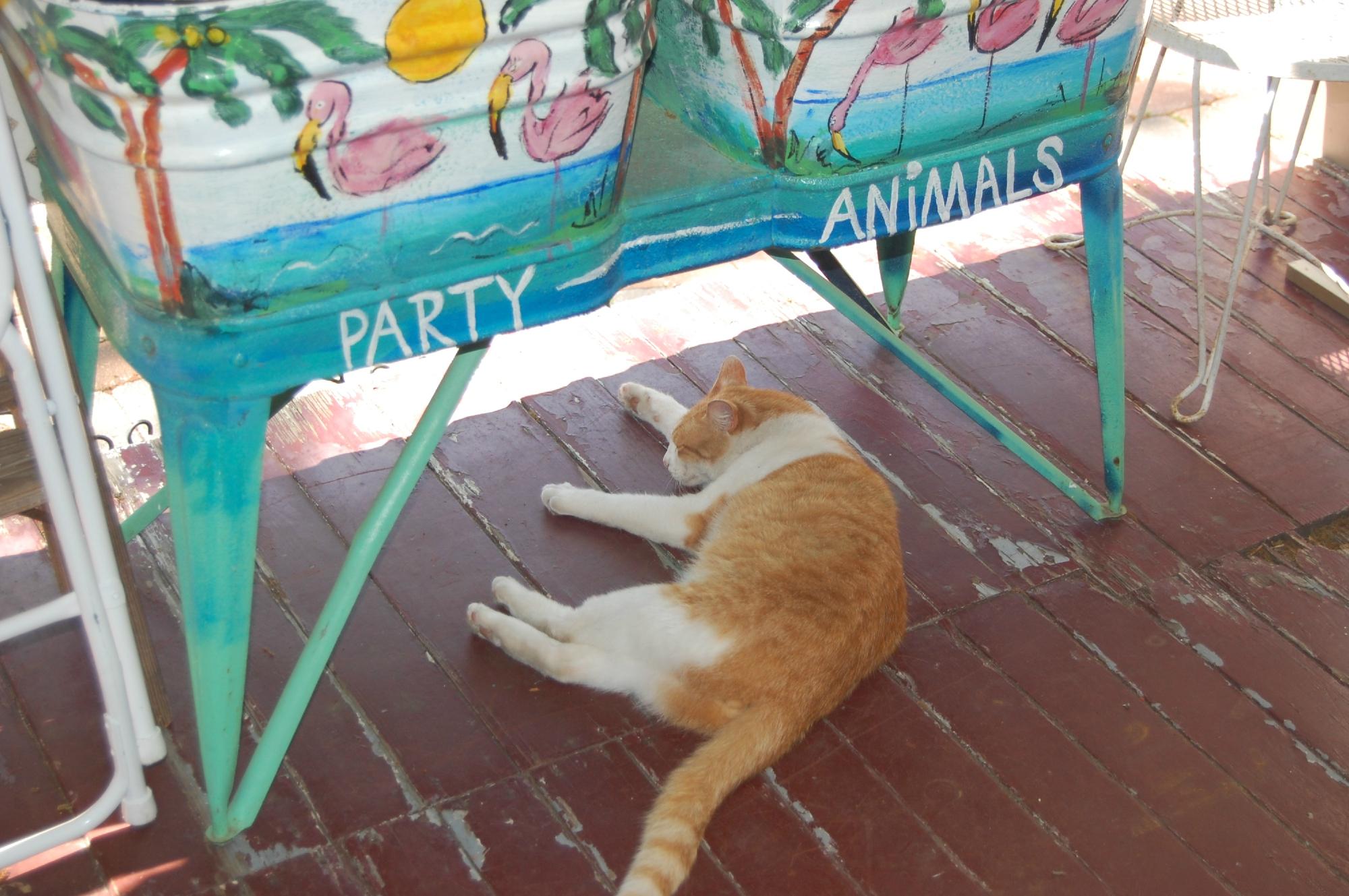 Amelia Island Williams House