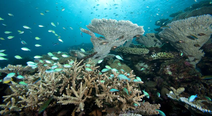 Park Hyatt Maldives Hadahaa