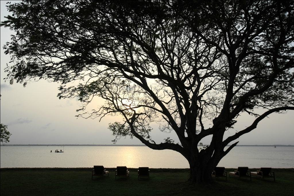 Jetwing Lagoon Wellness