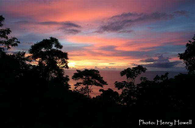 La Paloma Lodge Drake Bay