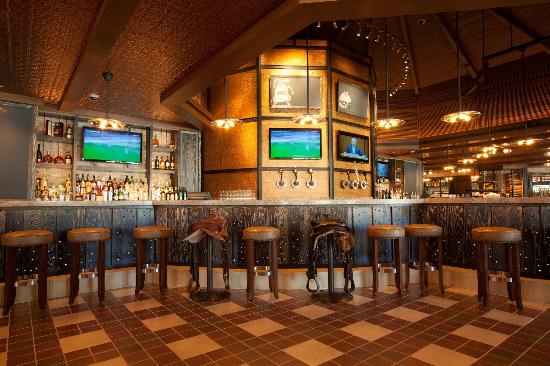 The Coral At Atlantis