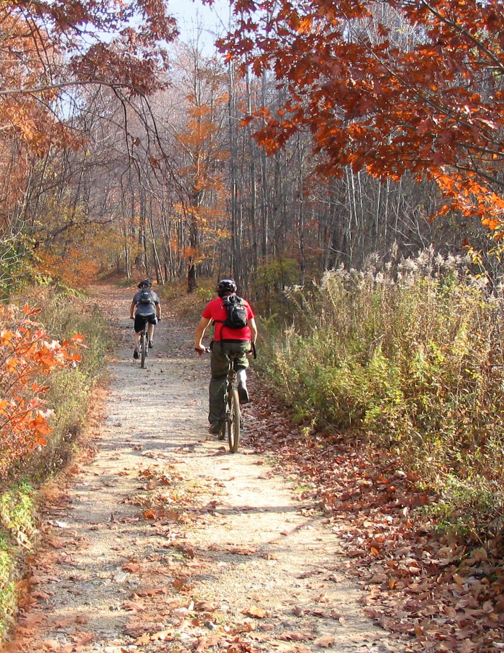Brewster By The Sea Inn