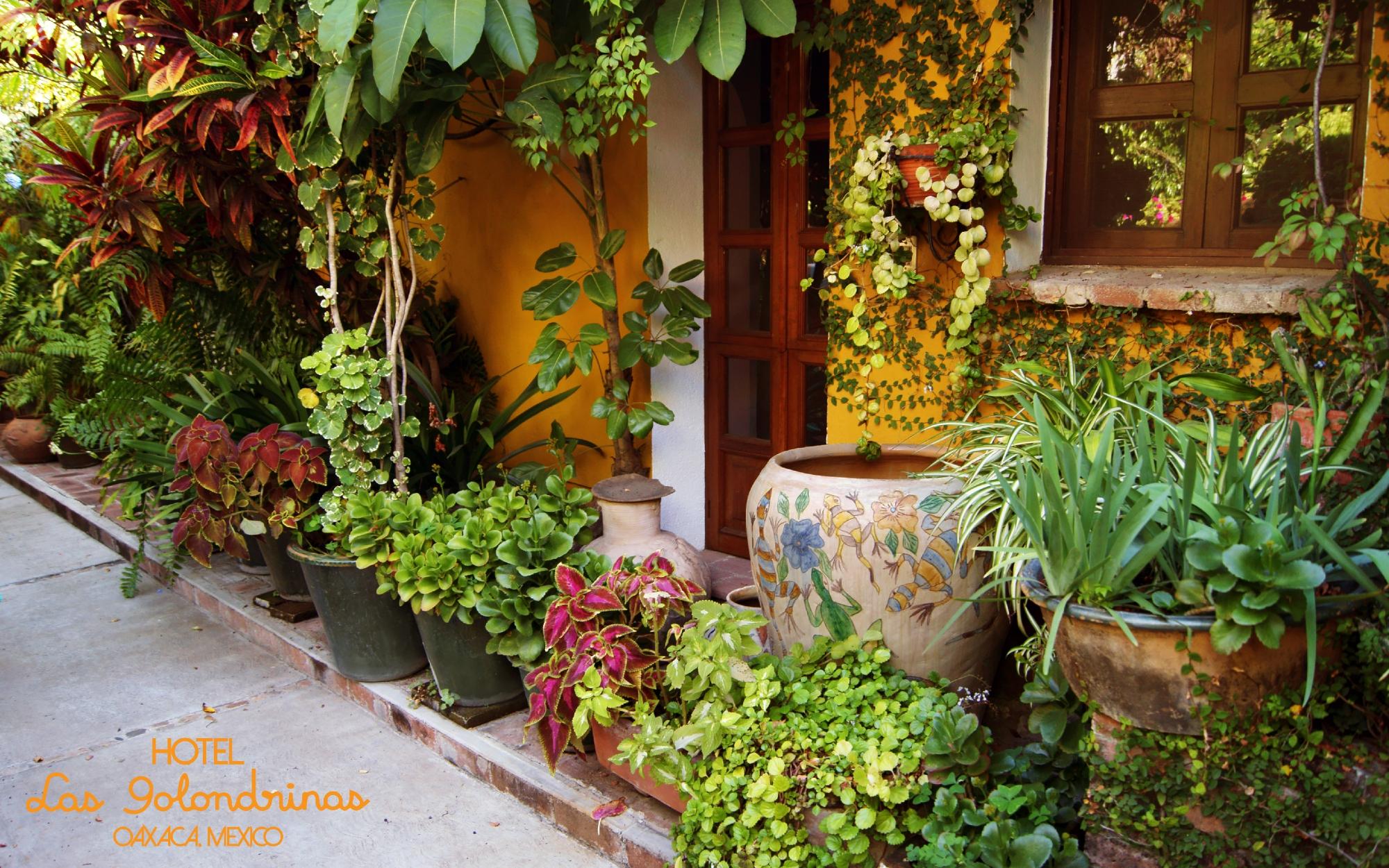 Hotel Las Golondrinas