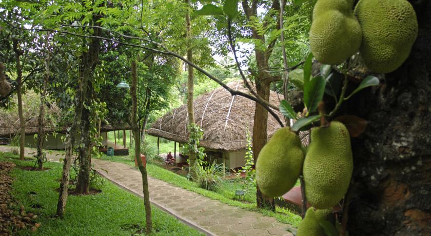 Spice Village, CGH Earth