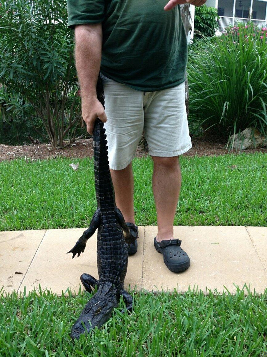 Sanibel Siesta on the Beach