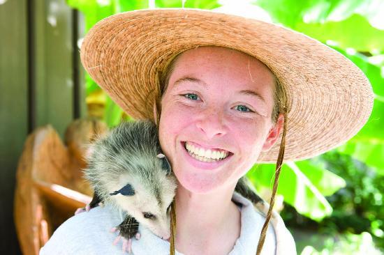 Omni Amelia Island Resort & Spa
