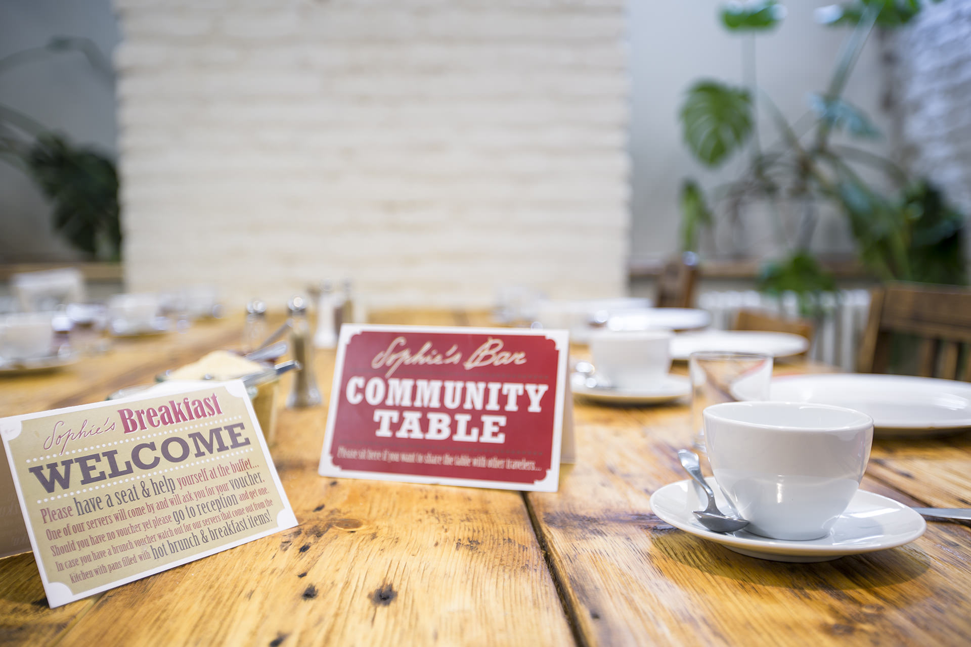 Miss Sophie's New Town