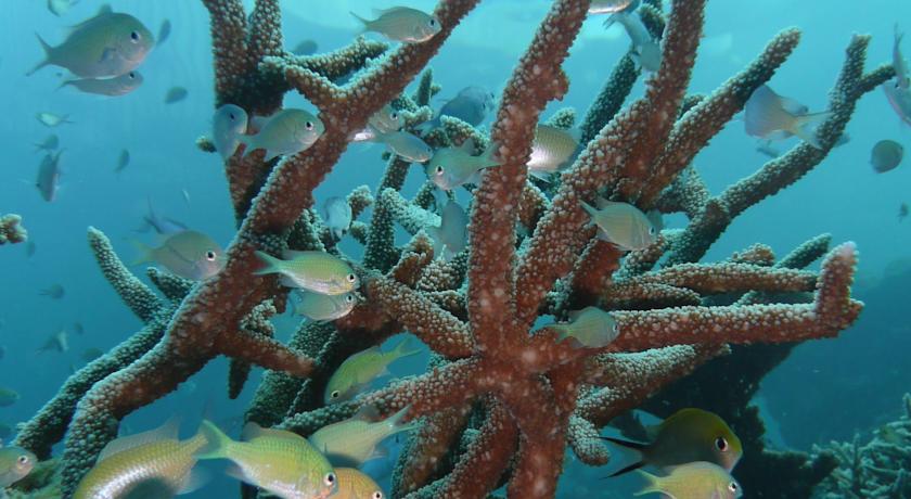 Park Hyatt Maldives Hadahaa