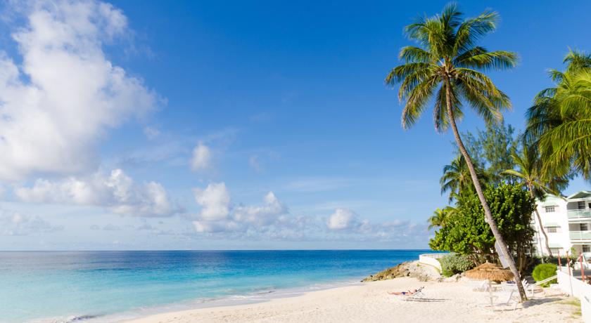 Bougainvillea Barbados