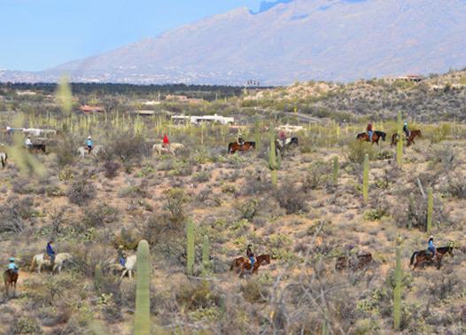 Tanque Verde Ranch