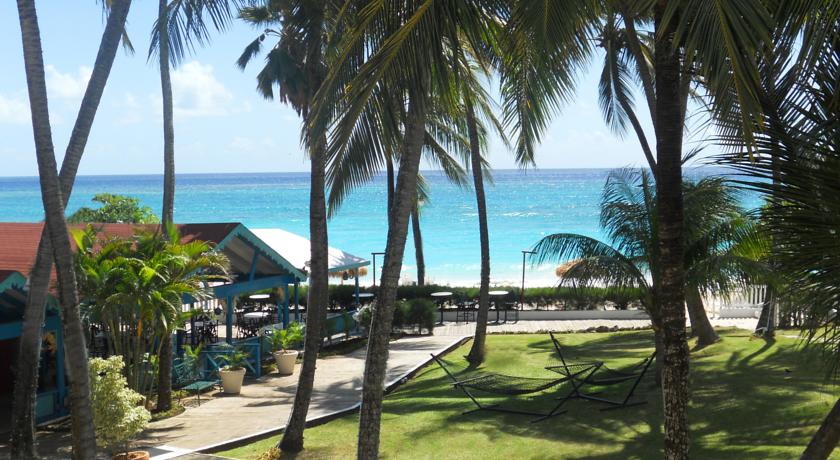 Bougainvillea Barbados