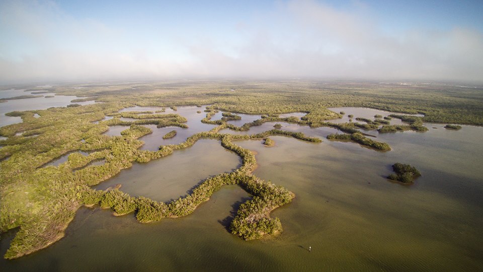 Rookery Bay National Estuarine Research Reserve