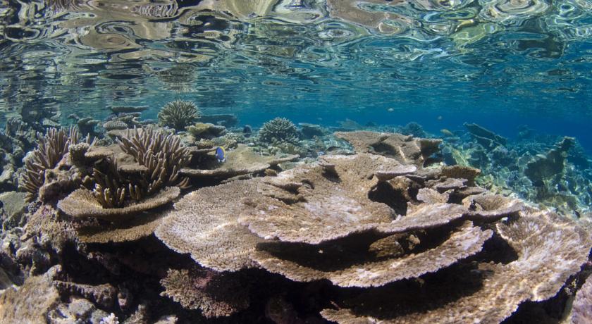 Park Hyatt Maldives Hadahaa
