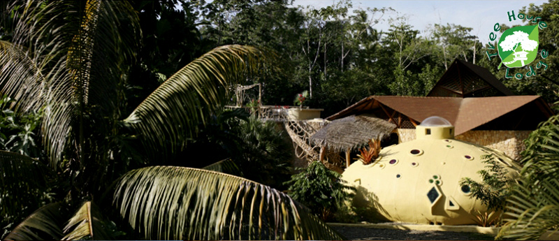 Tree House Beachfront Lodge