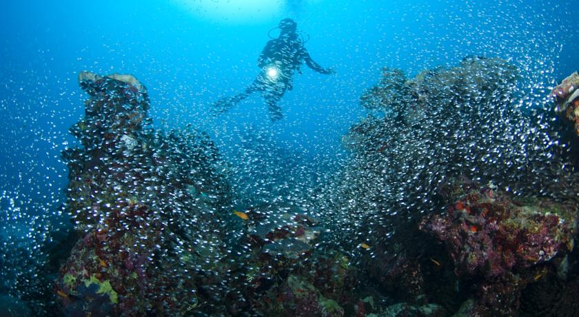 Park Hyatt Maldives Hadahaa