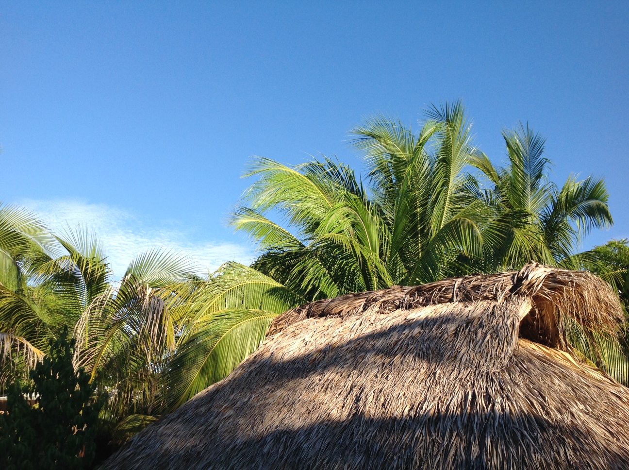 Villa Mozart y Macondo