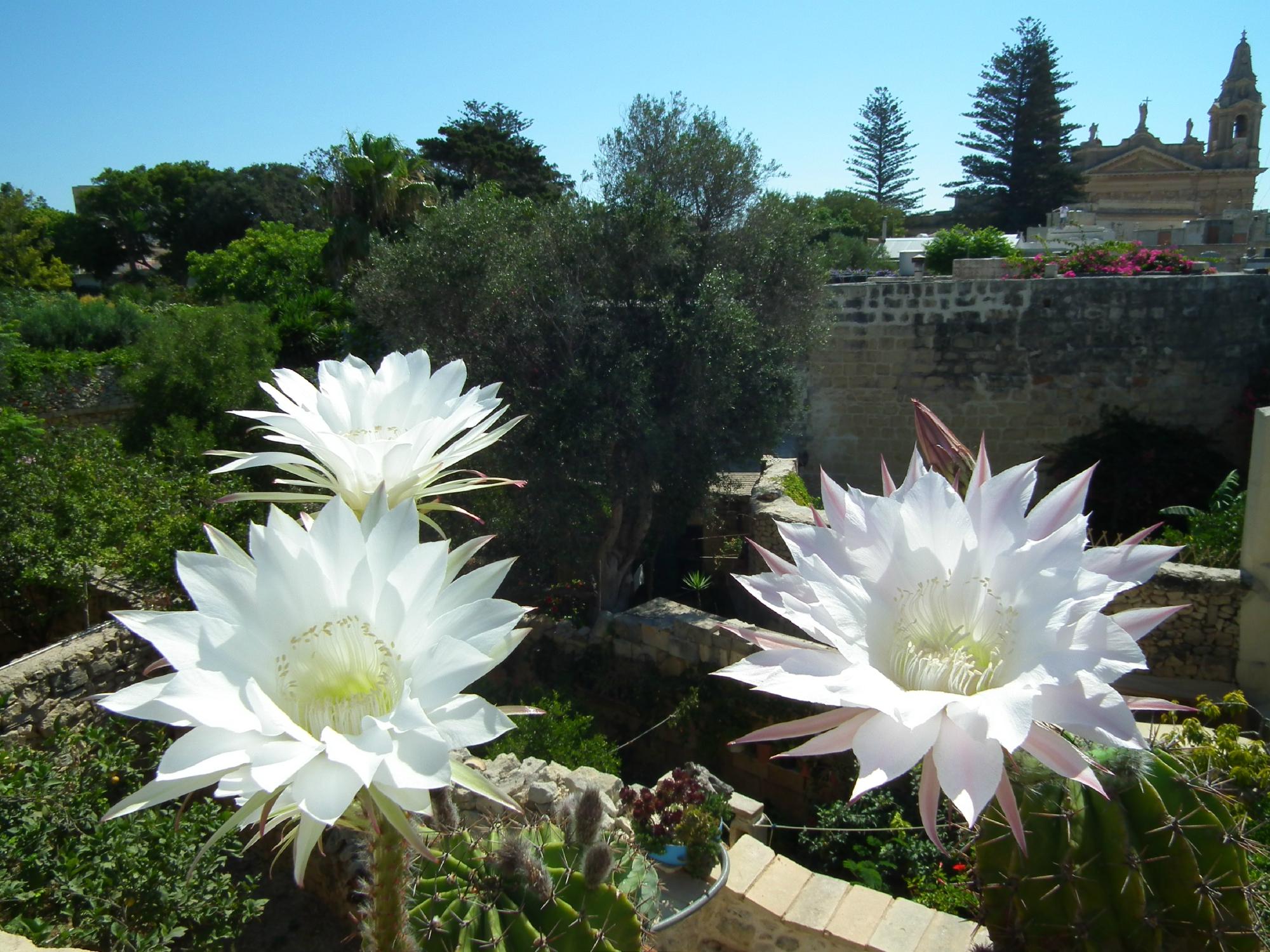 Loggia Mariposa - Boutique Townhouse