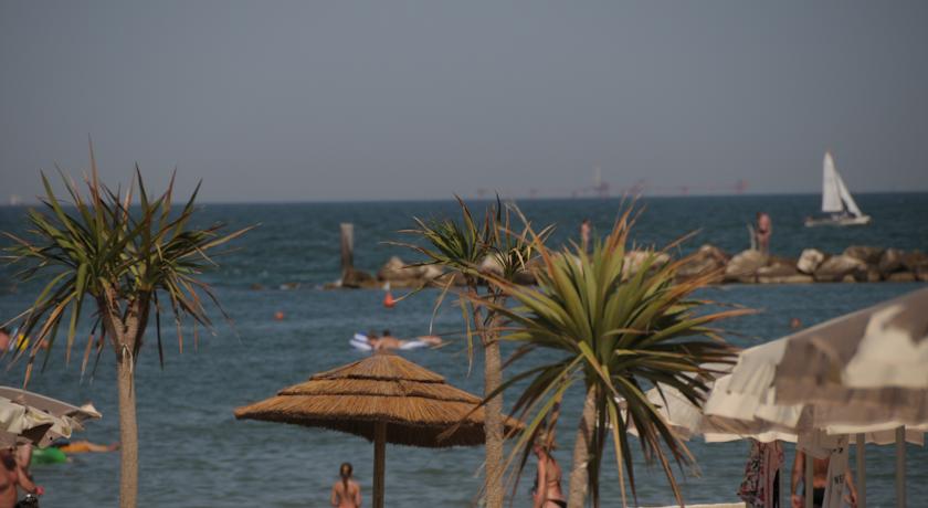 Adriano Family Collection